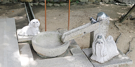 犬の水飲み場