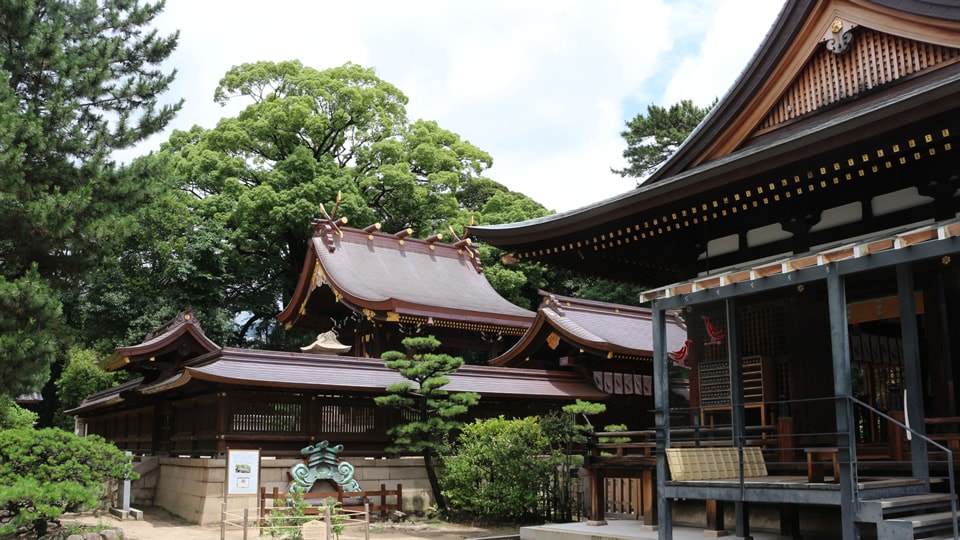 弓弦羽神社の本殿・拝殿